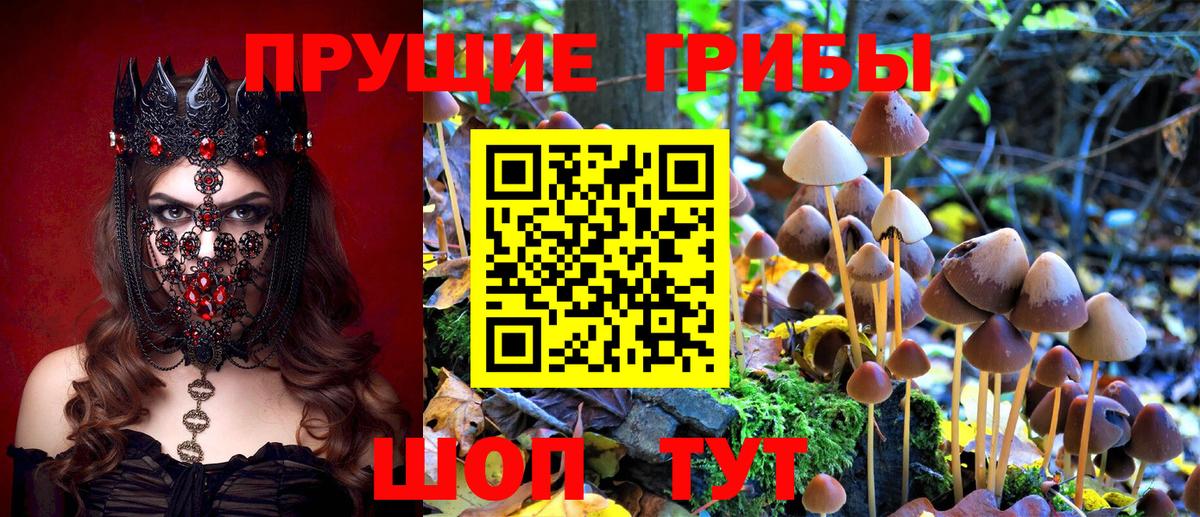 Зерноград  Псилоцибиновые грибы мицелий  купить   Вход с VPN 
