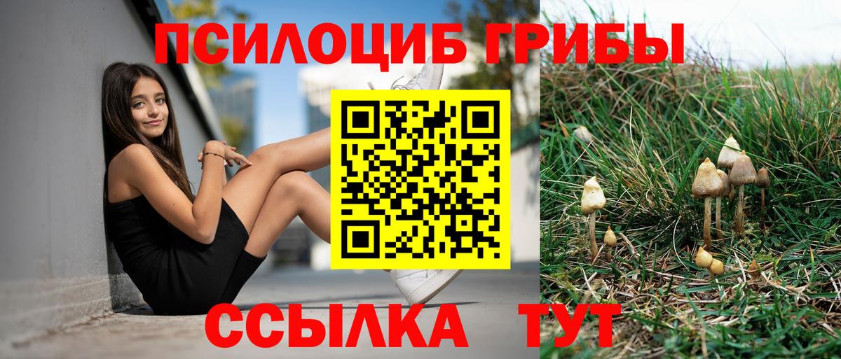 Галлюциногенные грибы мухоморы Зерноград